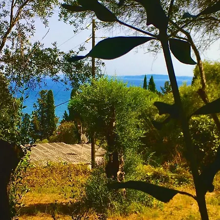 Anna's House פראמה